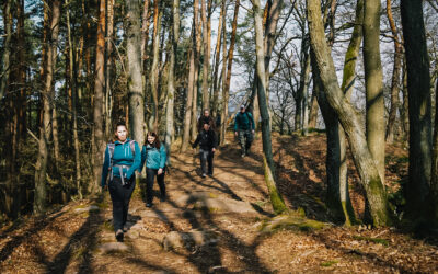 Dimbacher Buntsandstein Höhenweg